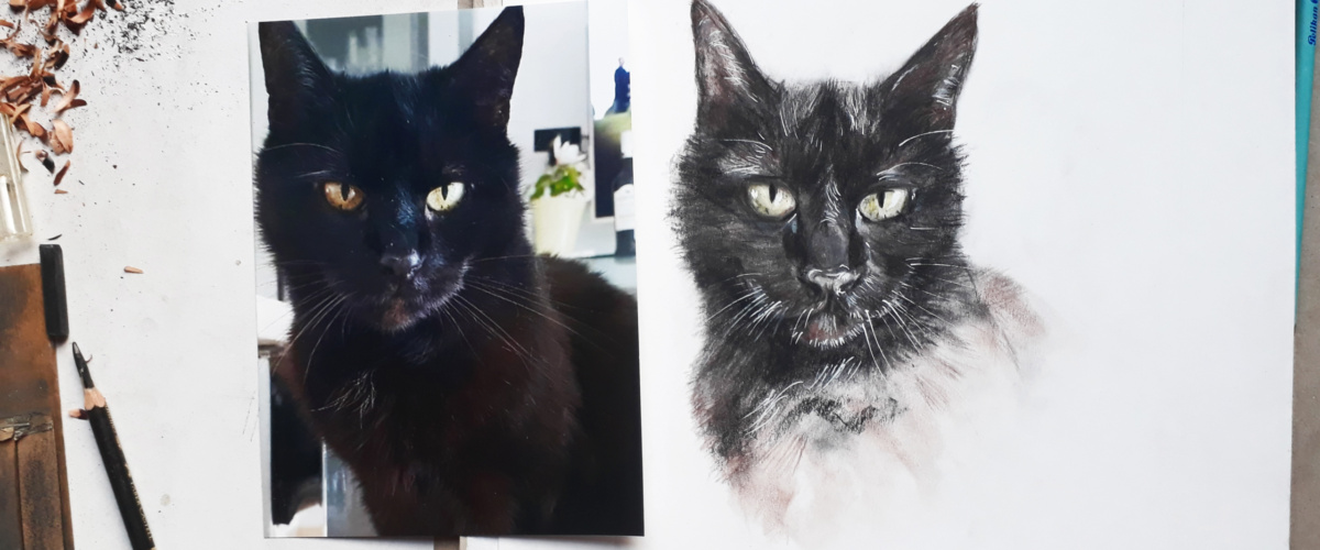 Dreimal schwarzer Kater [Portraitzeichnung]