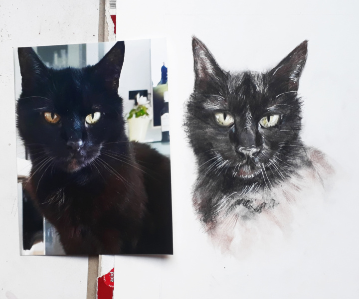 Dreimal schwarzer Kater [Portraitzeichnung]