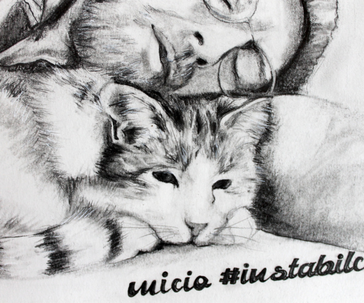 Micio instabilcat – Katze zum Geburtstag [Portraitzeichnung]